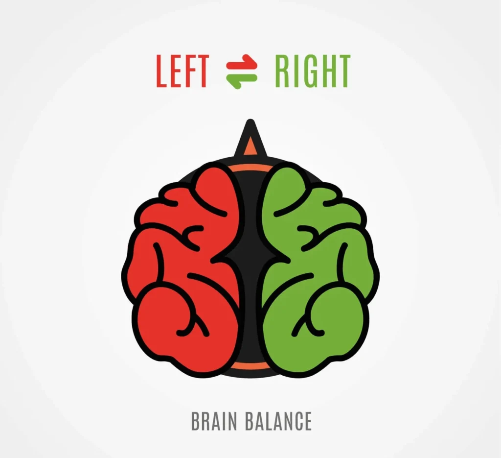 Left and Right Brain Dichotomy